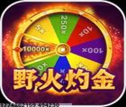 王者荣耀前瞻版